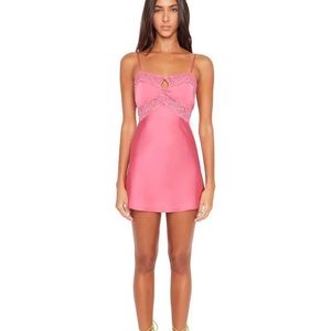 Danielle Guizio Pink Slip Dress